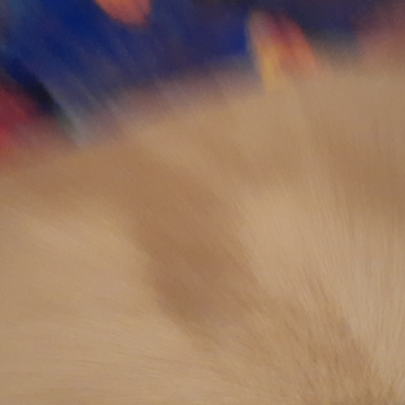 Vintage Fur Muff - Picture 5 of 6